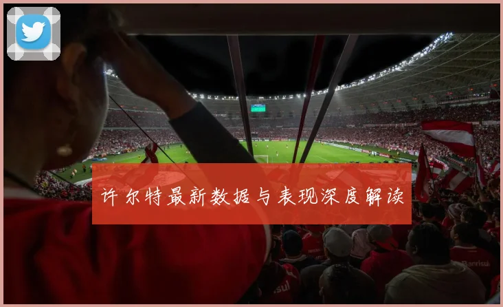 许尔特最新数据与表现深度解读